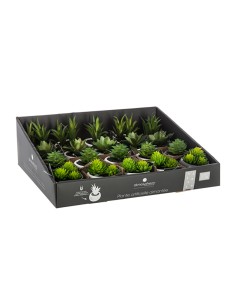 Mini plantas decorativas con iman modelos surtidos 6cm 2