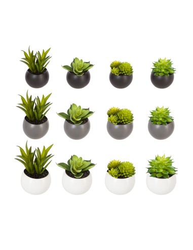 Mini plantas decorativas con iman modelos...