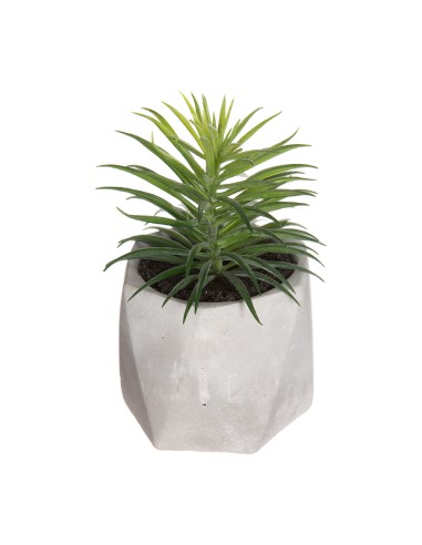 Planta decorativa con maceta 7x14cm modelos surtidos