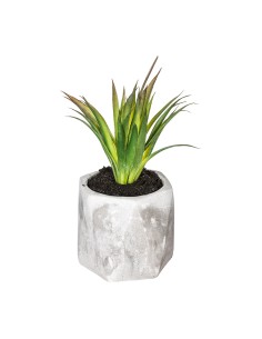 Planta decorativa con maceta 7x14cm modelos surtidos 2