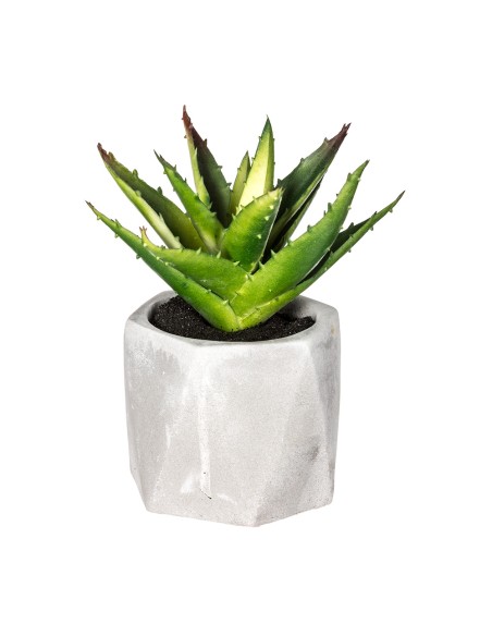 Planta decorativa con maceta 7x14cm modelos surtidos