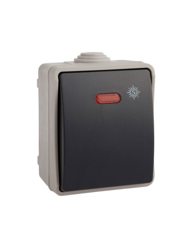 Conmutador luminoso estanco ip54 (retractilado)