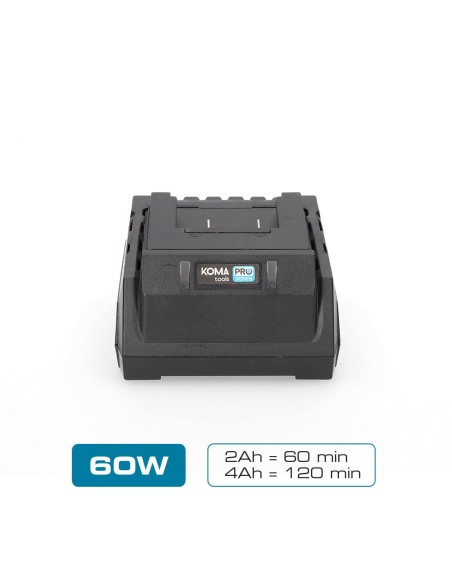 Cargador de bateria 20 v 60 w