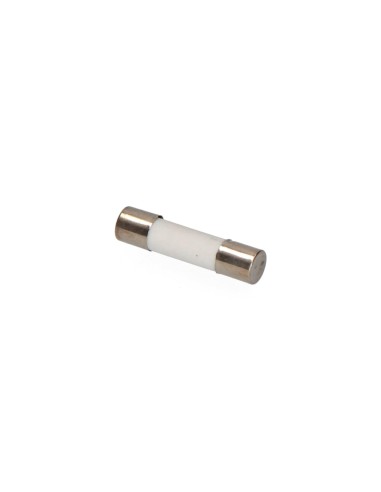 Fusible mt1 10 a 14 x 51 mm