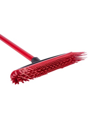 Cepillo escoba always clean pet pro