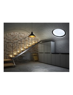 Armario jline 268, 3 baldas, 68 x 37,5 x 163,5 cm 2