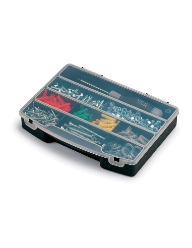 Organizador de compartimento con tapa 10 divisiones fijas 24,5 x 18 x 4 cm