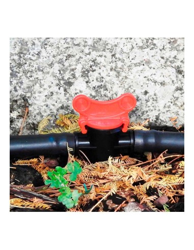 Pack de 2 valvulas de 16mm blue bird