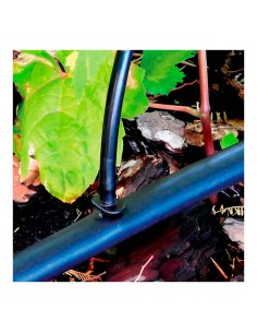 Pack con 10 uniones 4mm blue bird 2