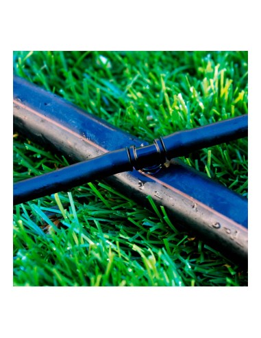 Pack con 25 "t" 4mm blue bird