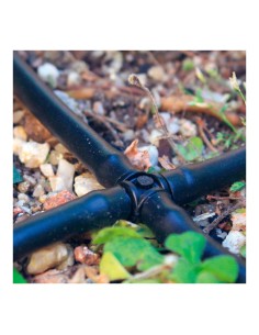 Pack con 10 cruces 4mm blue bird 2