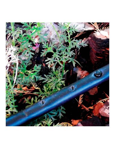 Pack con 10 tapones 4mm blue bird