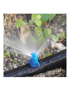 Pack con 10 maxi jets 180° blue bird 2