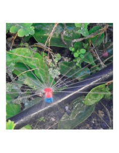 Pack con 10 maxi jets 360° blue bird 2