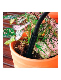 Pack con 20 piquetas gotero espada blue bird 2