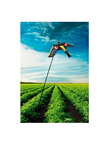 Halcón cometa ahuyenta pájaros 145x70cm 231606...