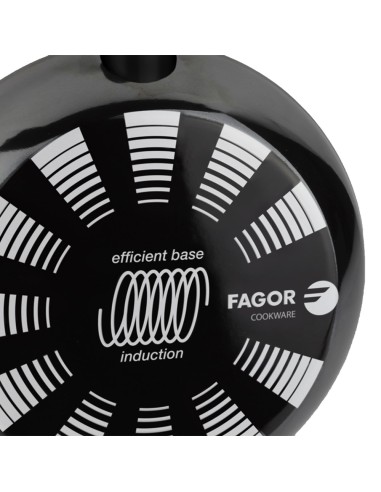 Sarten de acero aisi 430 indutherm negra ø24 cm