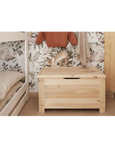 Baul de pino 70 x 48 x 40 cm