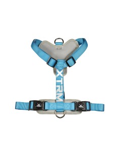 Arnes x-trm cronos neon flash 35-60 x 1,5 cm azul