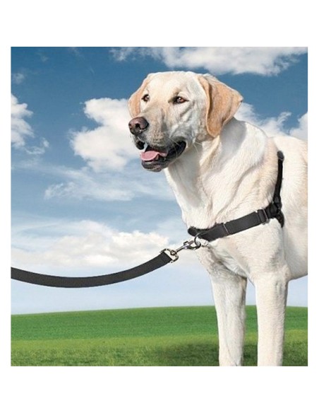 Arnes easy walk mediano negro