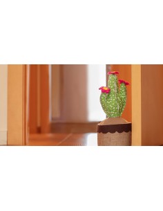 Tope textil sujetapuertas 1kg cactus verde. inofix 2