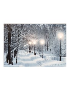 Cuadro led paisajes nevados 58x1,5x38cm 6 leds 2 modelos surtidos 2