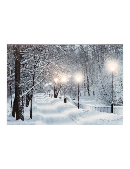Cuadro led paisajes nevados 58x1,5x38cm 6 leds 2 modelos surtidos
