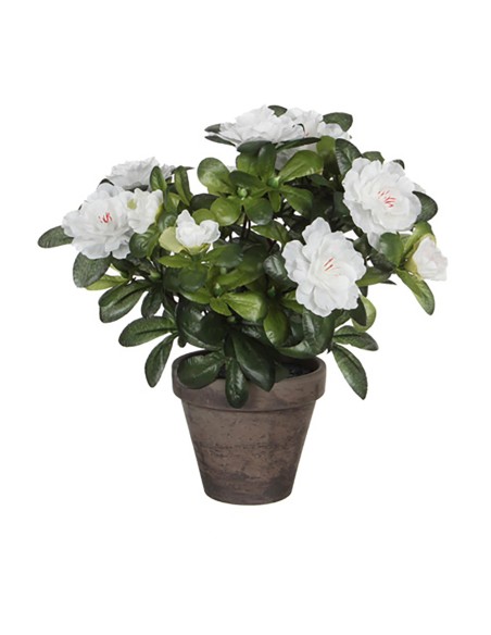 Azalea artificial blanca en tiesto gris ø11,5x27cm