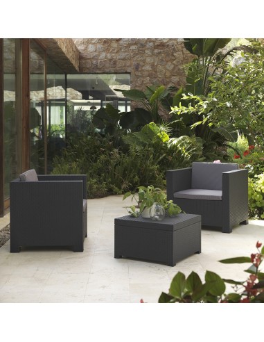 Conjunto jardin diva tete grafit sp berner 3...