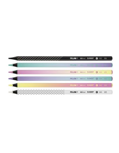 Caja con 6 lápices de colores mina gruesa 2