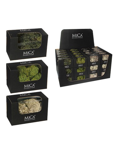 Plantas de musgo artificial surtidas 50g