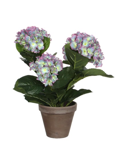 Magnolia púrpura con maceta gris ø35x40cm