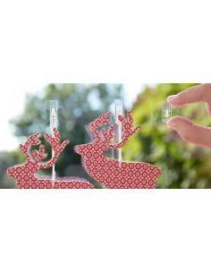 Mini ganchos colgadores adhesivos 3733-8-001 (blister 12 unid.) inofix 2