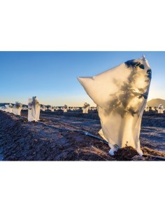 Capuchas de protección de plantas ø1,5 x 1,8 m 2