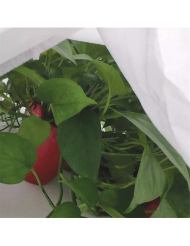 Tela de protección para cultivos 1,5 x 5 m 17gr/m²