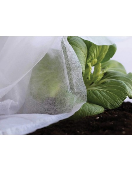 Tela de protección para cultivos 2 x 10 m 30gr/m²