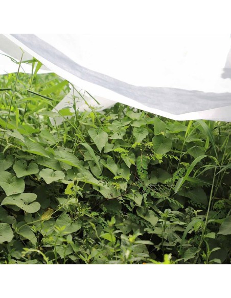 Tela de protección para cultivos-bobina 2 x 20 m 17gr/m²
