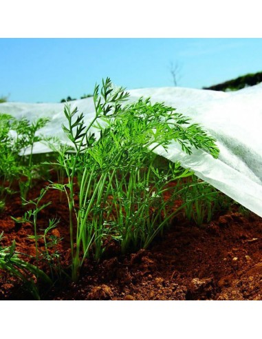 Tela de protección para cultivos-bobina 2 x 20 m 30gr/m²