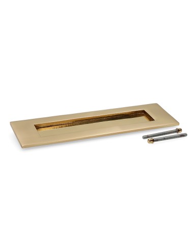 Placa buzón latón pulido dorado 100x305mm