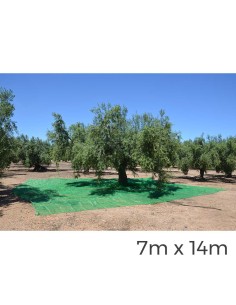 Manto para recolecta de frutos 7x14m color verde