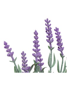 Planta artificial lavanda maceta vintage ø13x32cm colores / modelos surtidos 2