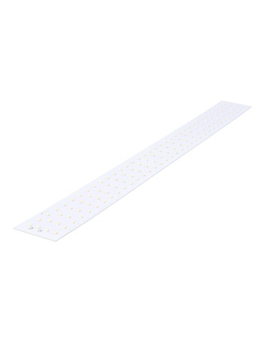 Recambio led para 31755 edm