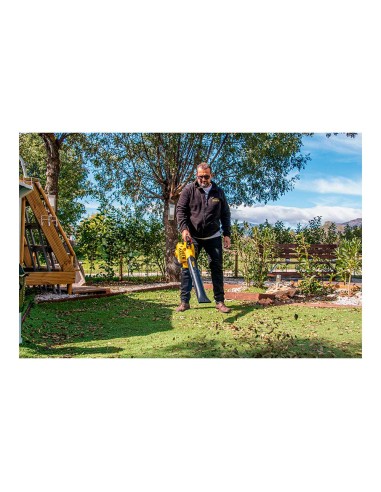 Soplador a gasolina motor 2 tiempos gas...