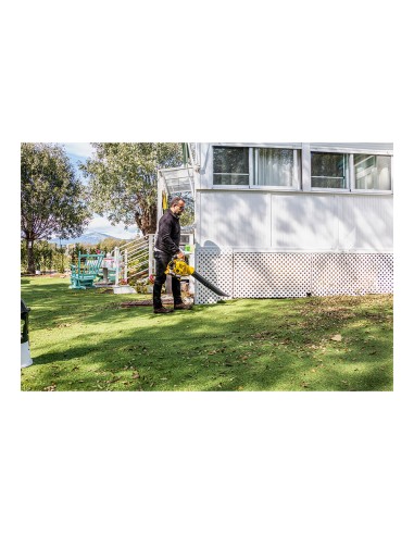 Soplador a gasolina motor 2 tiempos gas...