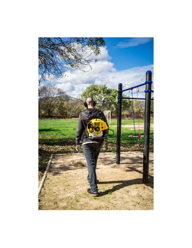 Soplador a gasolina motor 2 tiempos gas...