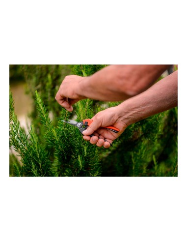 Tijera para vendimia de punta 18. longitud: 18 cm