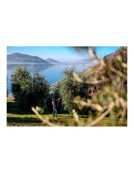 Tijera de mango largo telescópica longitud: 230 - 400 cm