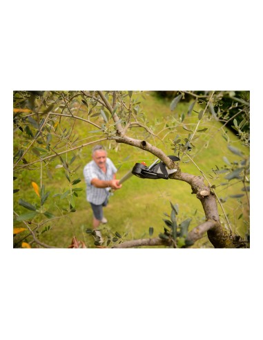 Tijera de mango largo telescópica longitud: 230...