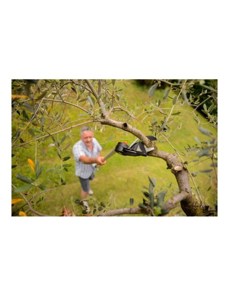 Tijera de mango largo telescópica longitud: 230 - 400 cm