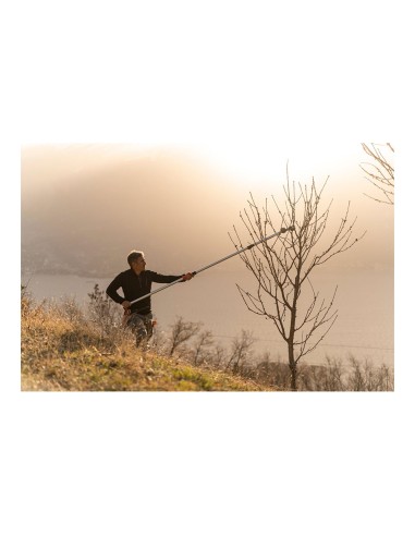 Tijera de mango largo telescópica longitud: 230...